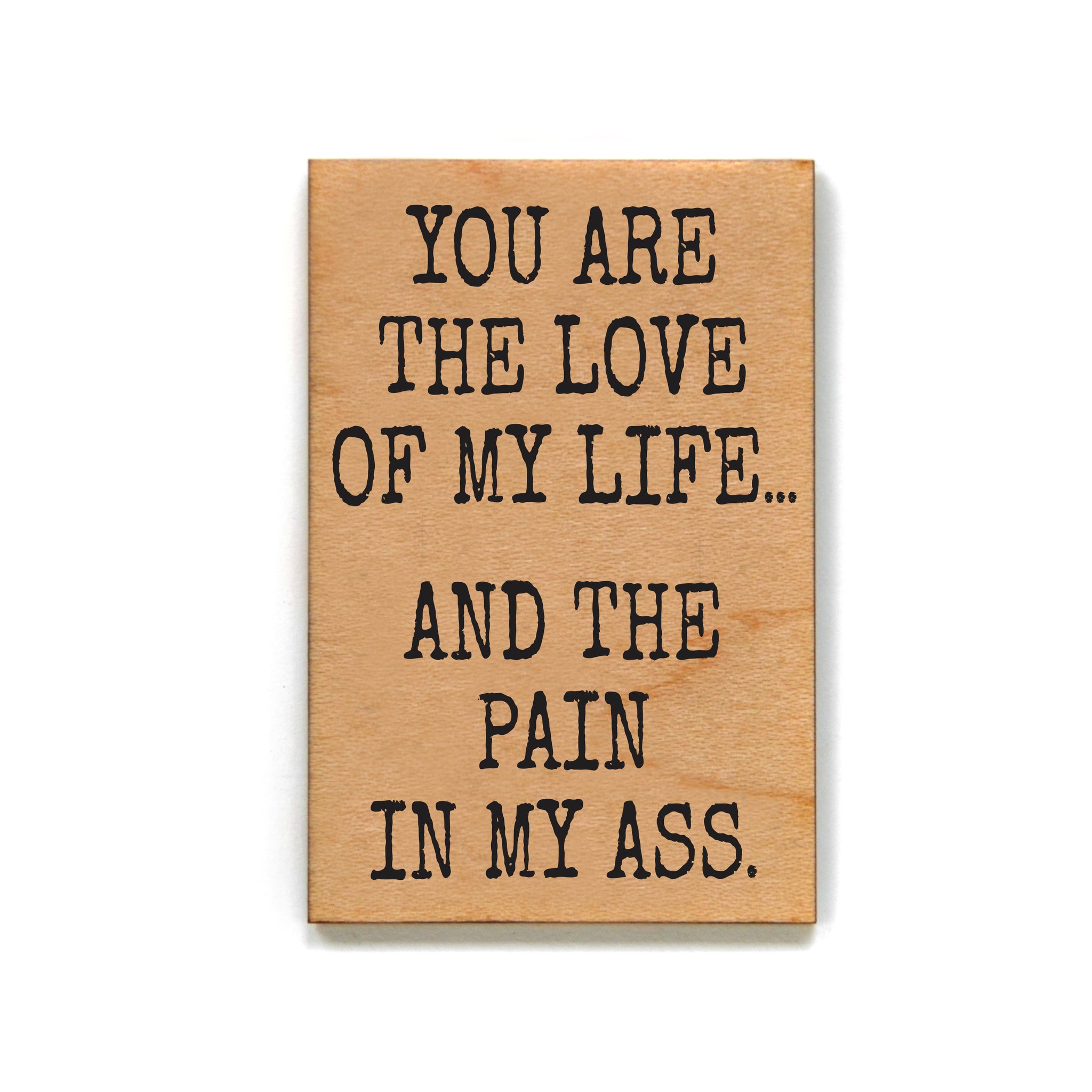 Love Of My Life And Pain In My Ass Funny Magnets - XM193